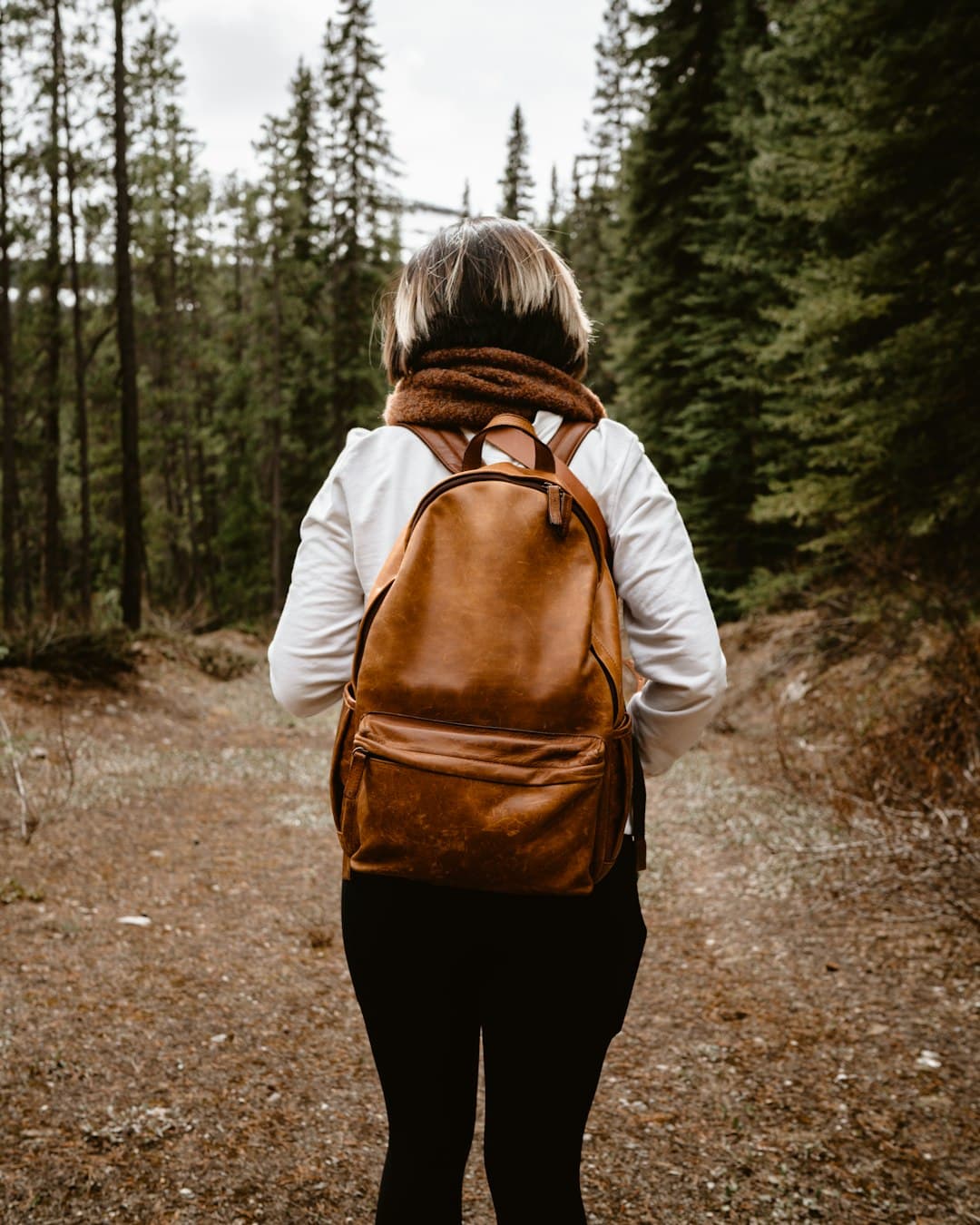 Hiker on a mountain trail with backpack and trekking poles